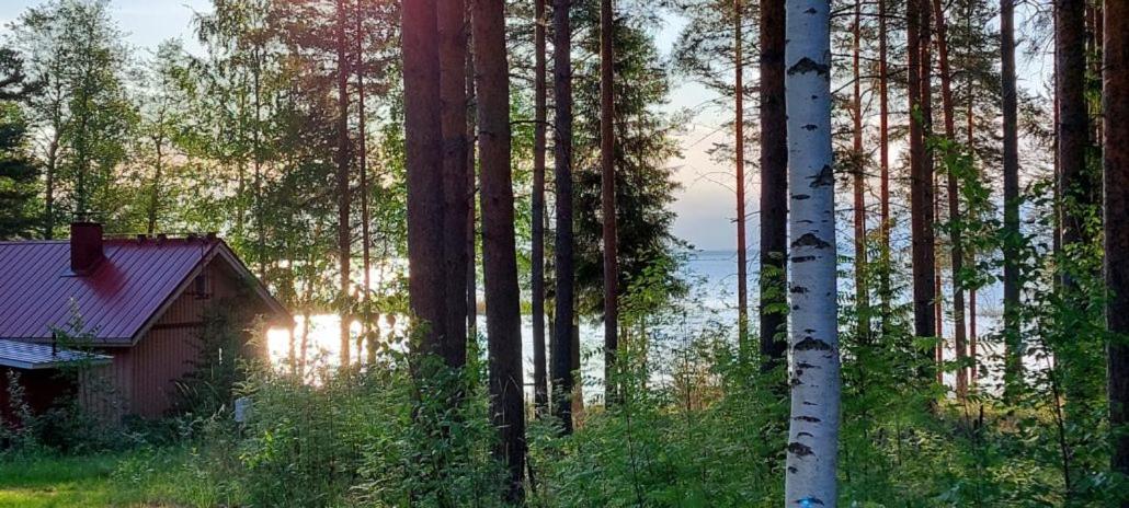 Pulla Karvisen Maatilamatkailussa Ruokola Bagian luar foto
